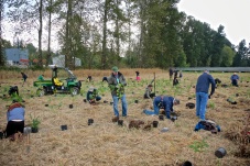 Pictured: Volunteers planting trees.